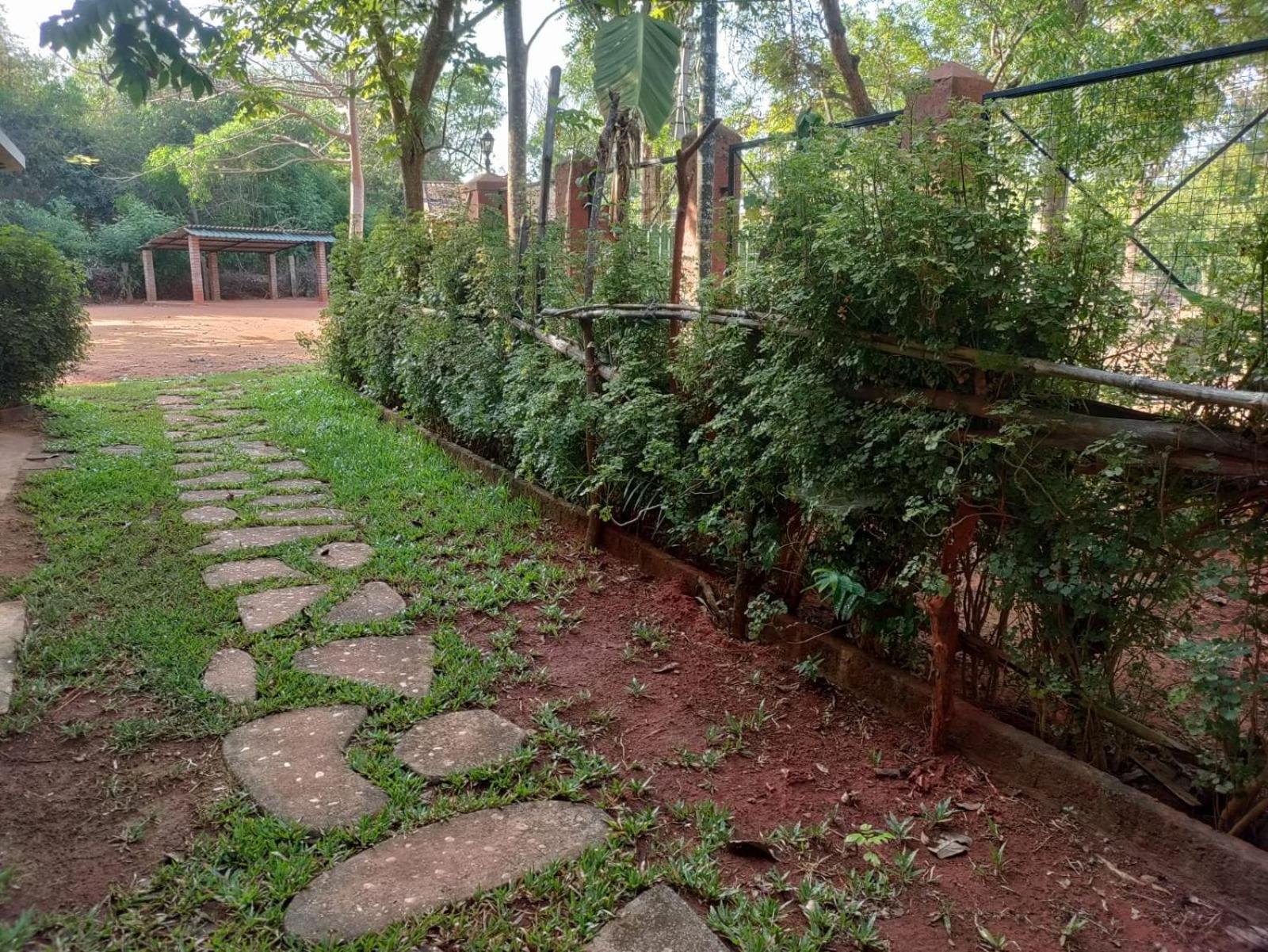 Inn Pondiville Forest Retreat 퐁디셰리 외부 사진