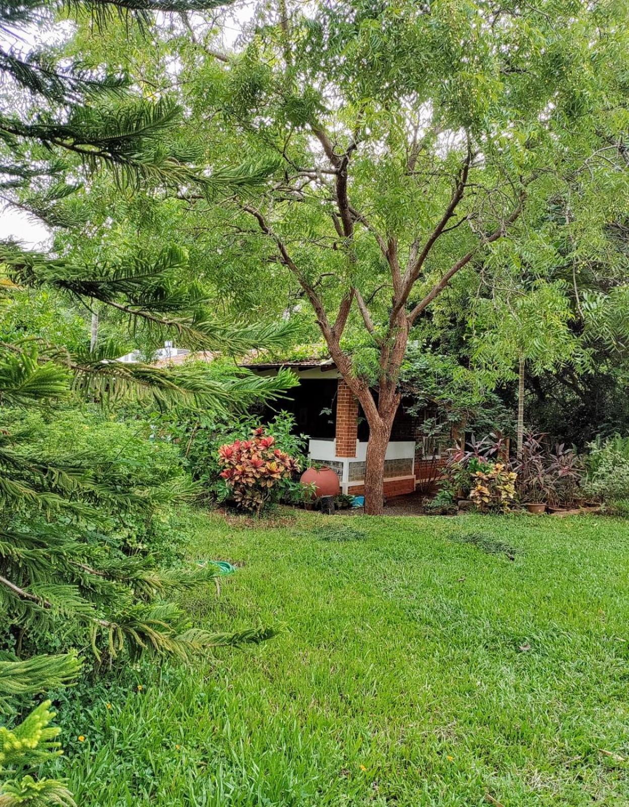 Inn Pondiville Forest Retreat 퐁디셰리 외부 사진