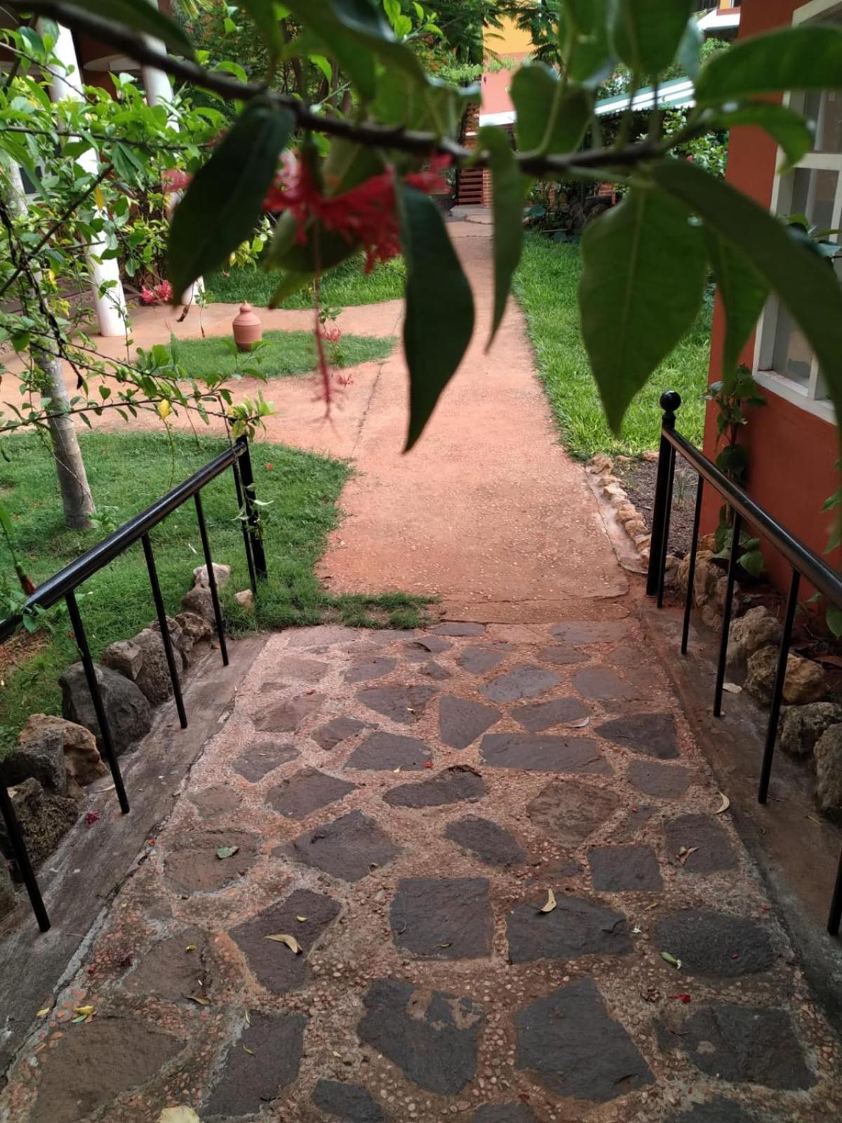 Inn Pondiville Forest Retreat 퐁디셰리 외부 사진