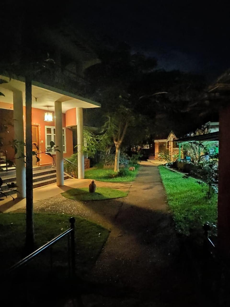 Inn Pondiville Forest Retreat 퐁디셰리 외부 사진