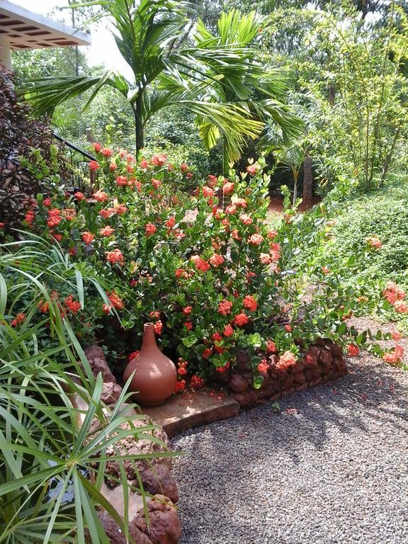 Inn Pondiville Forest Retreat 퐁디셰리 외부 사진